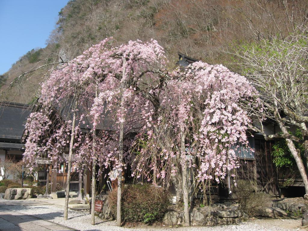 Masugen Ryokan Tenkawa Екстериор снимка